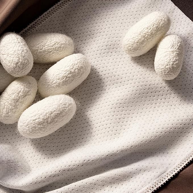 Plus qu’un boxer, une expérience